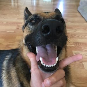 Meet your Posher, Colin